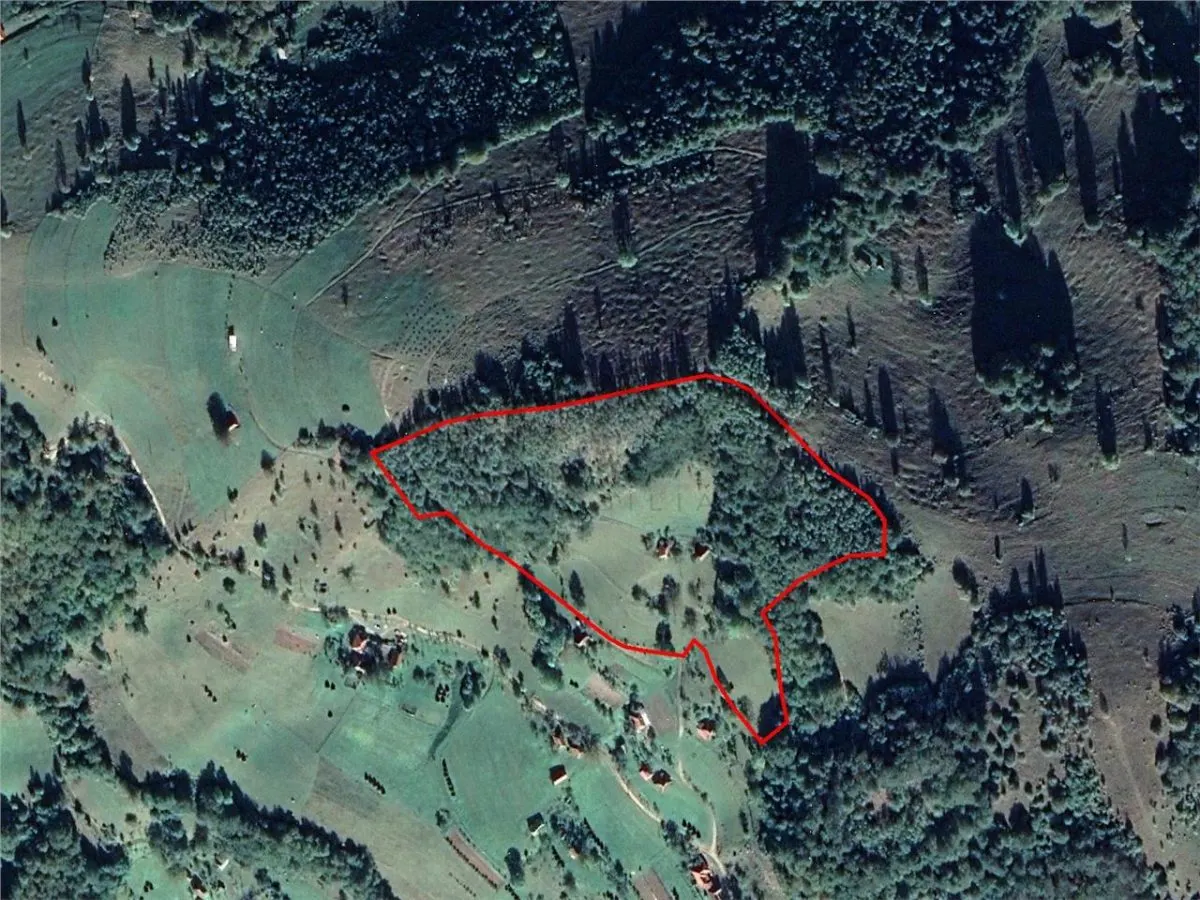 Teren Bulz - poza 1