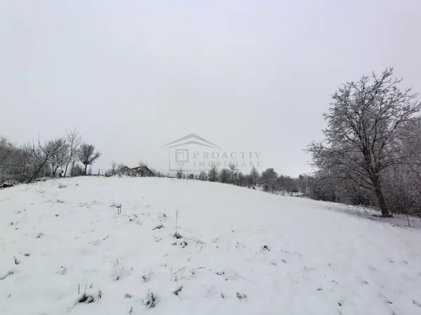 Teren Mitocu Dragomirnei - poza 1