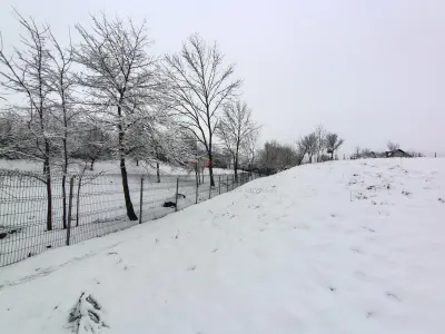 Teren Mitocu Dragomirnei - poza 2