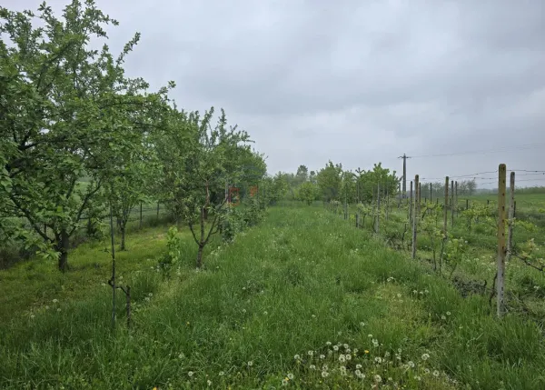 Casă 11 camere Darabani - poza 24