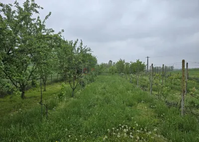 Casă 11 camere Darabani - poza 24