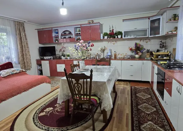 Casă 11 camere Darabani - poza 6