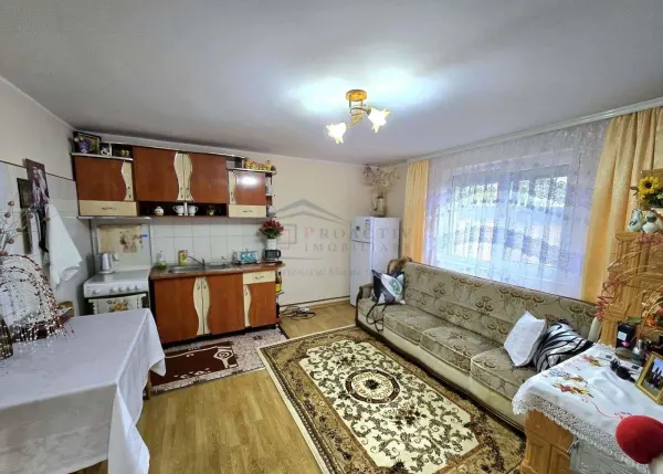Casă 11 camere Darabani - poza 9