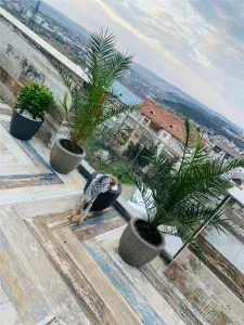 Apartament 3 camere Suceava - poza 16