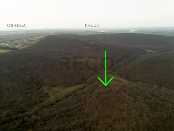 Teren Saldabagiu de Munte - poza 1