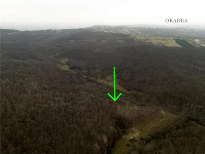 Teren Saldabagiu de Munte - poza 2