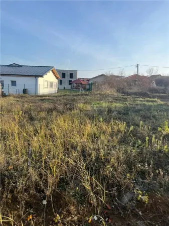 Casă 4 camere Paleu - poza 14