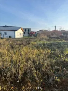 Casă 4 camere Paleu - poza 14