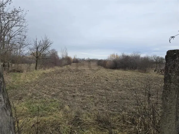 Casă 3 camere Boiu - poza 13