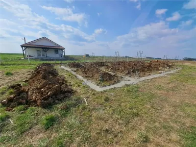 Casă 4 camere Biharia - poza 3