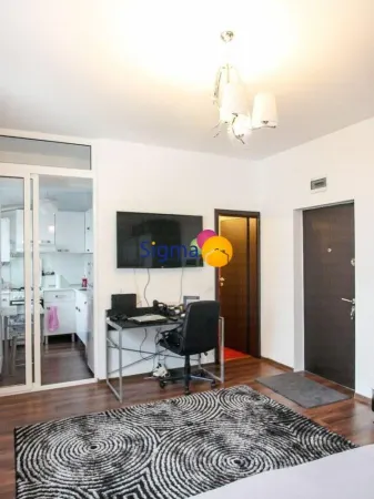 Apartament 1 camera Iași - poza 4
