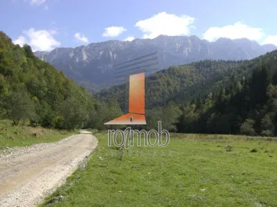 Teren Zărnești - poza 2