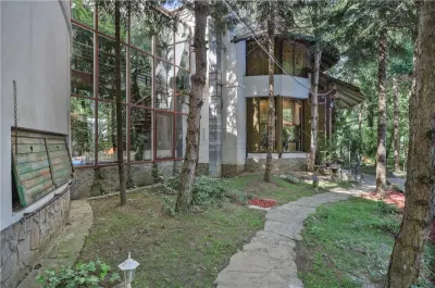 Casă 8 camere Corbeanca - poza 3