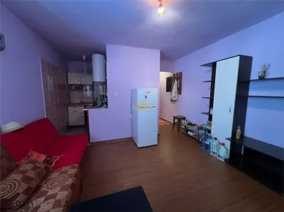 Apartament 2 camere Balan - poza 2
