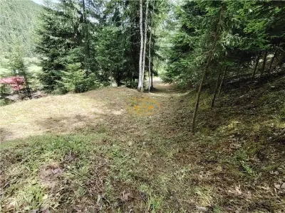 Casă 5 camere Gheorgheni - poza 18