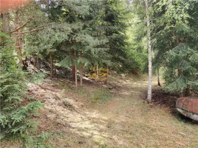 Casă 5 camere Gheorgheni - poza 21