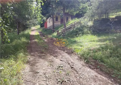 Casă 5 camere Gheorgheni - poza 23