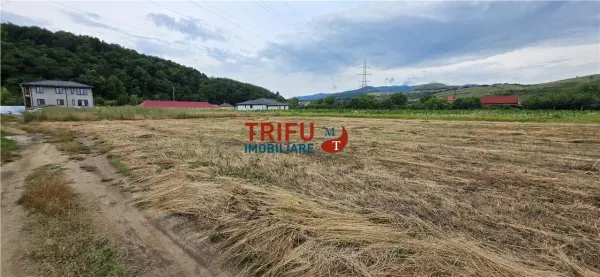 Teren Șard - poza 1