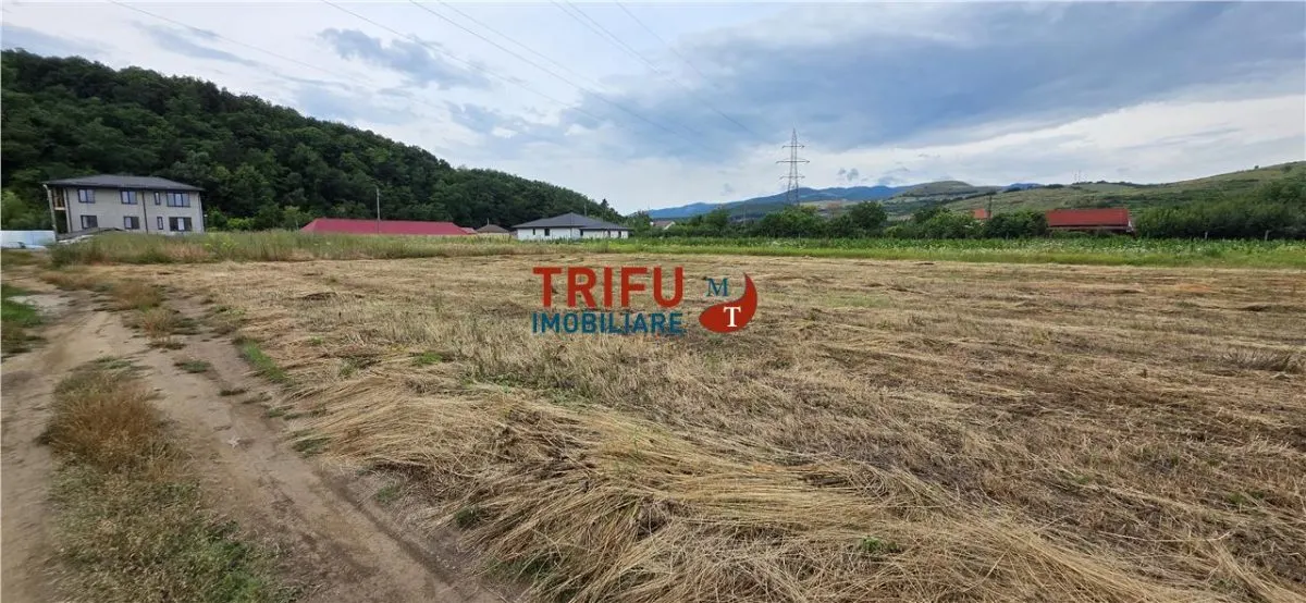 Teren Șard - poza 1