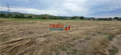 Teren Șard - poza 2