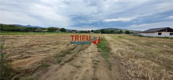 Teren Șard - poza 3
