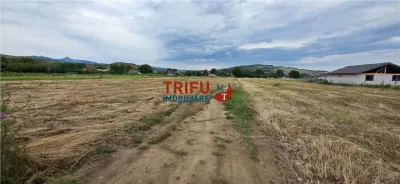 Teren Șard - poza 3