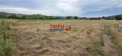 Teren Șard - poza 4