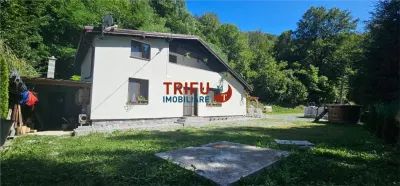 Cabana de vânzare în Intregalde – 5 camere, 1.200 mp teren si ciubăr - Intregalde