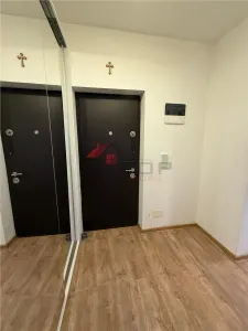 Apartament 2 camere Valea Lupului - poza 8