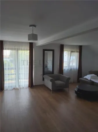 Hotel/Pensiune Crisan - poza 13