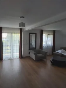 Hotel/Pensiune Crisan - poza 13