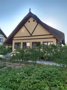 Hotel/Pensiune Crisan - poza 3