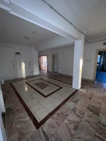 Casă 19 camere Voluntari - poza 7