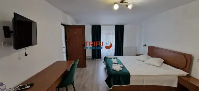 Spațiu comercial Alba Iulia - poza 18