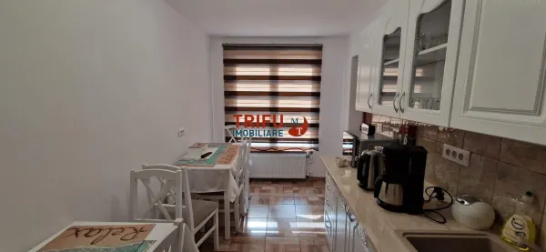 Spațiu comercial Alba Iulia - poza 6