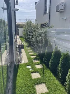 Casă 4 camere Tunari - poza 2