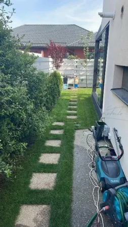 Casă 4 camere Tunari - poza 3