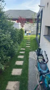 Casă 4 camere Tunari - poza 3