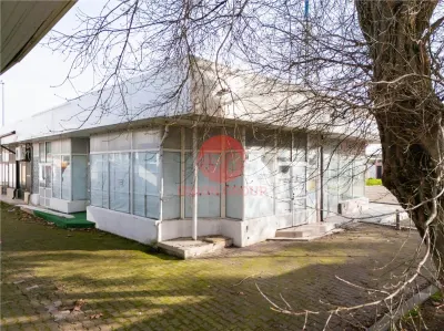 Spațiu comercial Mamaia - poza 5