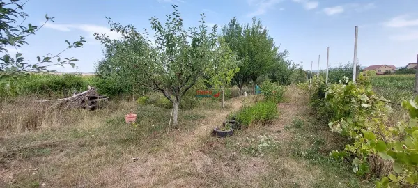 Casă 2 camere Alba Iulia - poza 4