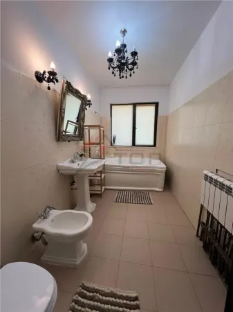 Casă 7 camere Vișan - poza 17