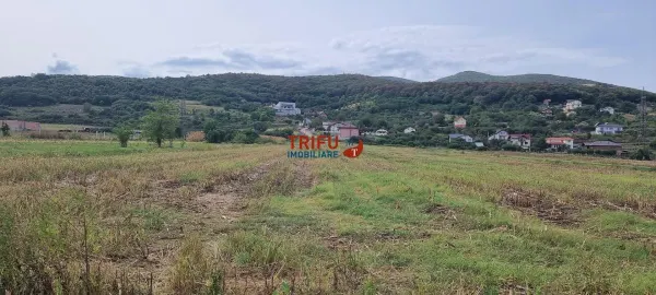Teren Alba Iulia - poza 2