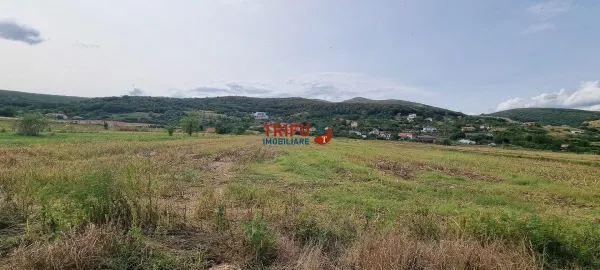 Teren Alba Iulia - poza 3