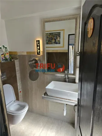 Spațiu comercial Alba Iulia - poza 11