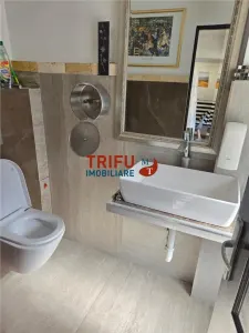 Spațiu comercial Alba Iulia - poza 10