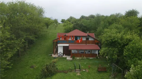 Casă 5 camere Alba Iulia - poza 6