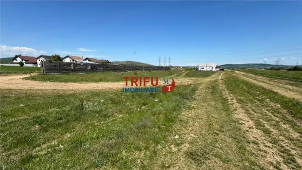 Teren Alba Iulia - poza 3
