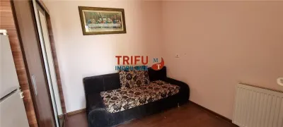 Apartament 3 camere Alba Iulia - poza 11