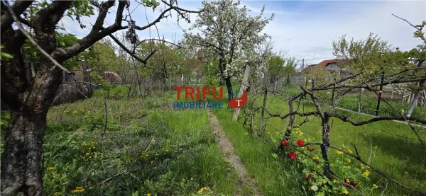 Casă 3 camere Alba Iulia - poza 16