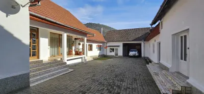 Casă 7 camere Pianu de Sus - poza 1